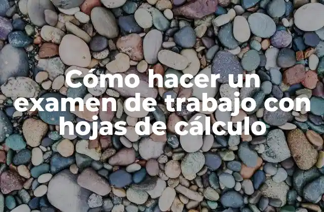 Cómo Hacer un Examen de Trabajo con Hojas de Cálculo