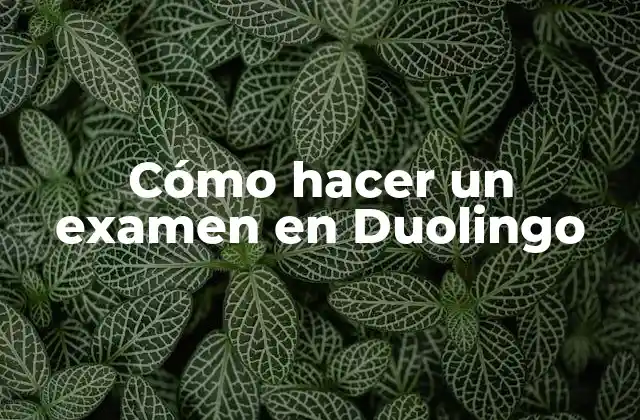 Cómo Hacer un Examen en Duolingo