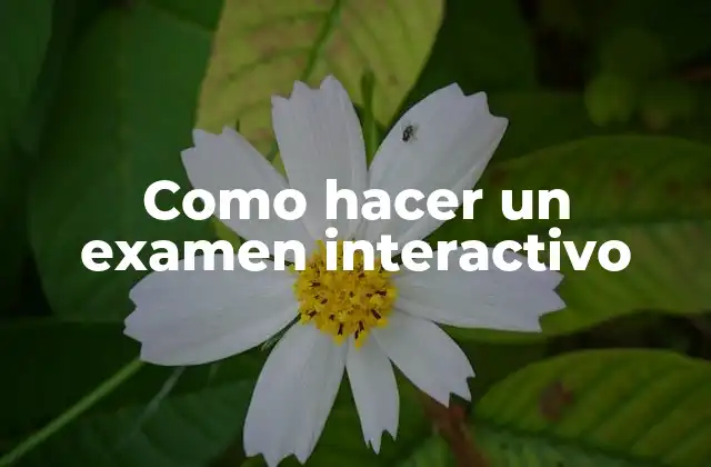 ¿Qué es un examen interactivo?