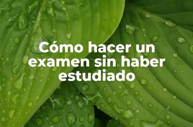 Cómo Hacer un Examen sin Haber Estudiado