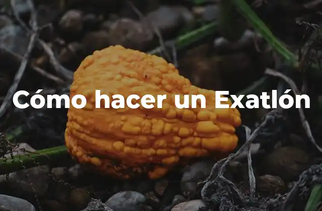 Cómo Hacer un Exatlón