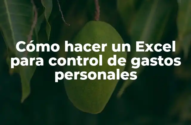 Cómo Hacer un Excel para Control de Gastos Personales