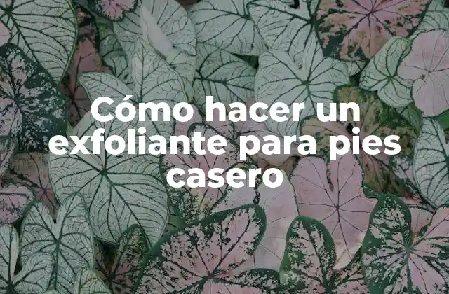 Cómo Hacer un Exfoliante para Pies Casero