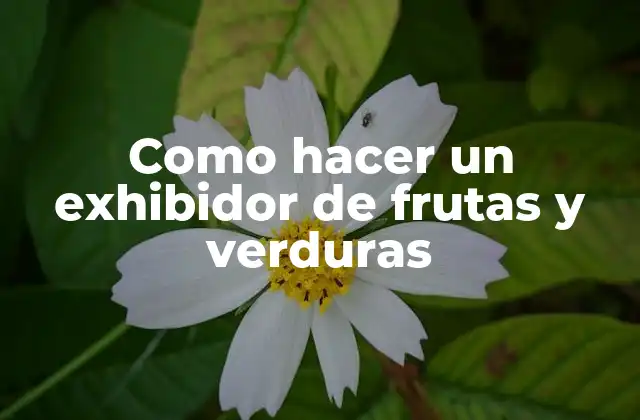 Como Hacer un Exhibidor de Frutas y Verduras