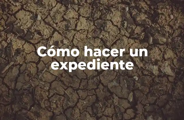 Cómo Hacer un Expediente