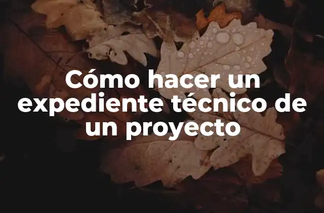 Cómo Hacer un Expediente Técnico de un Proyecto