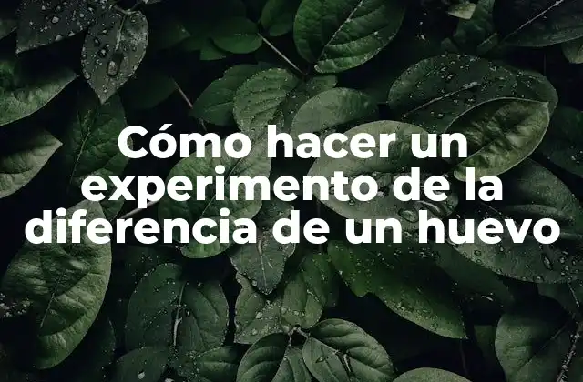 Cómo Hacer un Experimento de la Diferencia de un Huevo