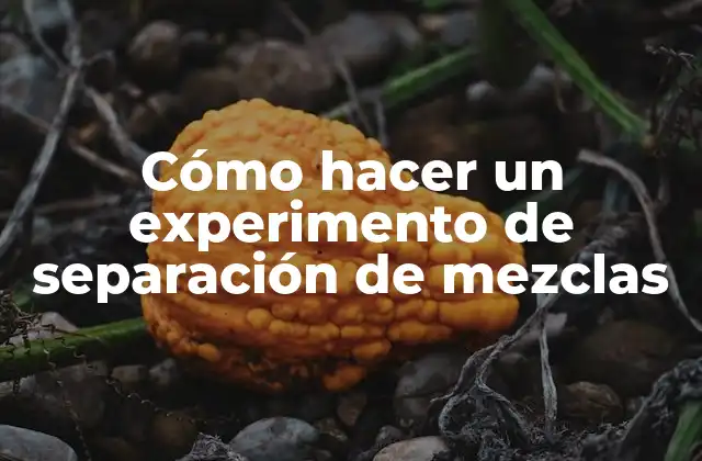 Cómo Hacer un Experimento de Separación de Mezclas