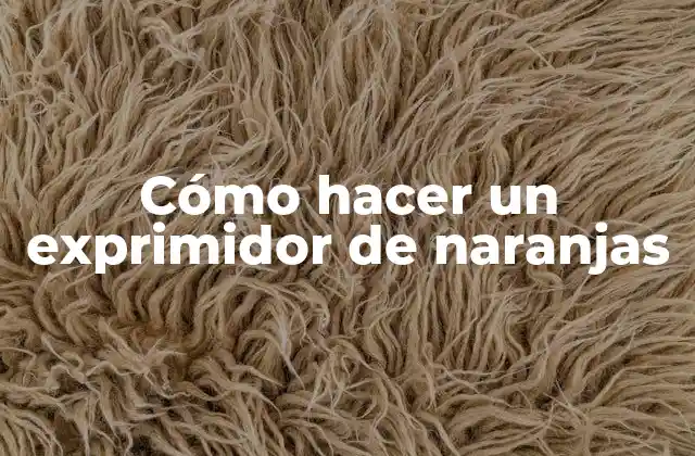 Cómo Hacer un Exprimidor de Naranjas