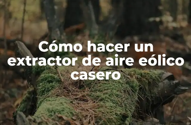 Cómo Hacer un Extractor de Aire Eólico Casero 2 Cómo hacer un extractor de aire eólico casero