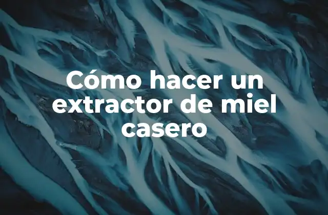 Cómo Hacer un Extractor de Miel Casero