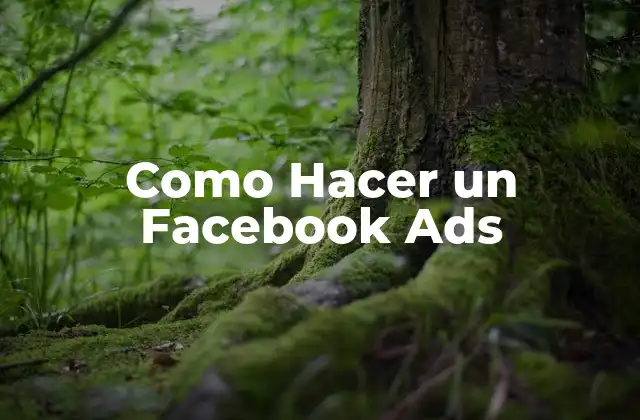 Como Hacer un Facebook Ads