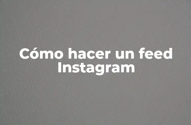 Cómo Hacer un Feed Instagram