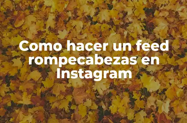 ¿Qué es un feed rompecabezas en Instagram y cómo funciona?