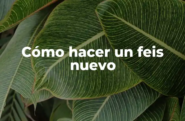 ¿Qué es un feis y para qué sirve?