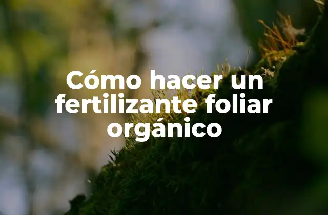 Cómo Hacer un Fertilizante Foliar Orgánico