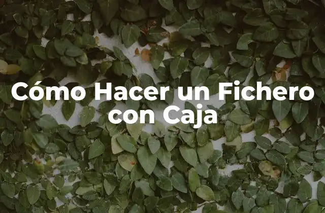 Cómo Hacer un Fichero con Caja