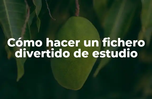 Cómo Hacer un Fichero Divertido de Estudio