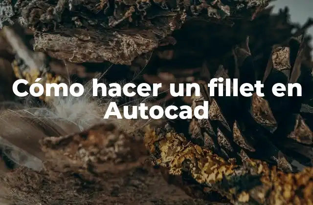 Cómo Hacer un Fillet en Autocad