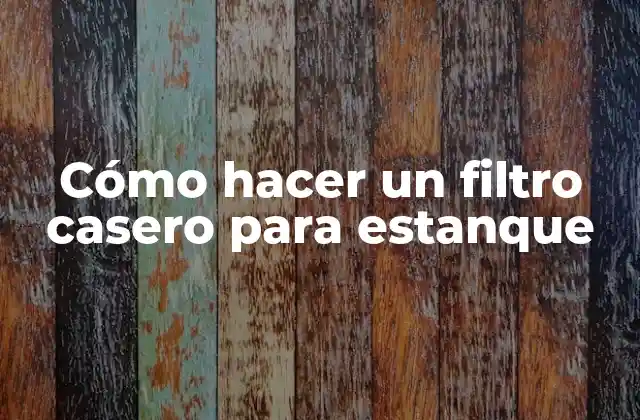 Cómo hacer un filtro casero para estanque