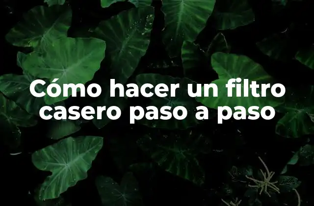 Cómo Hacer un Filtro Casero Paso a Paso