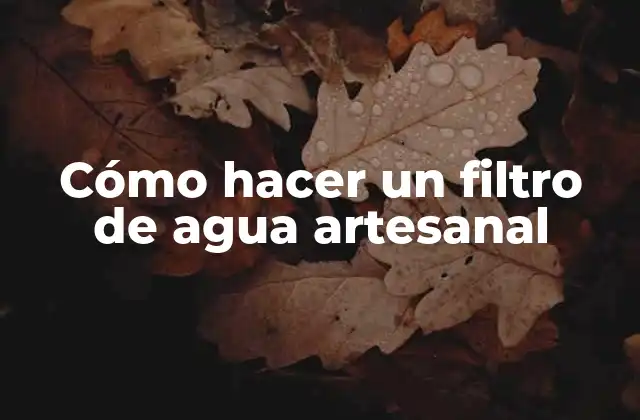 Cómo Hacer un Filtro de Agua Artesanal