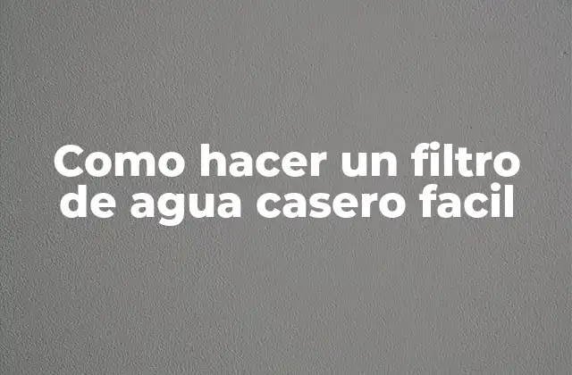 Como Hacer un Filtro de Agua Casero Facil