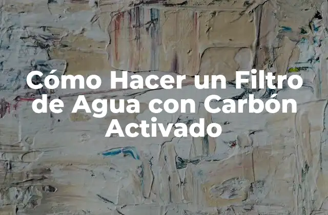 Cómo Hacer un Filtro de Agua con Carbón Activado