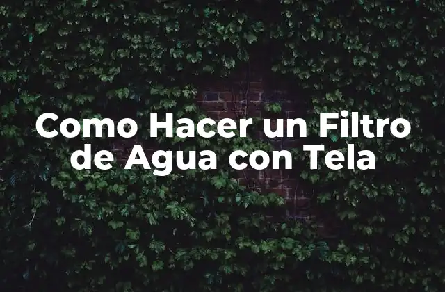 Como Hacer un Filtro de Agua con Tela