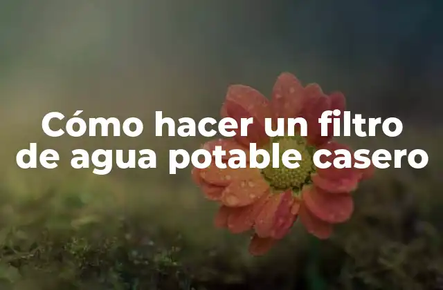 Cómo Hacer un Filtro de Agua Potable Casero