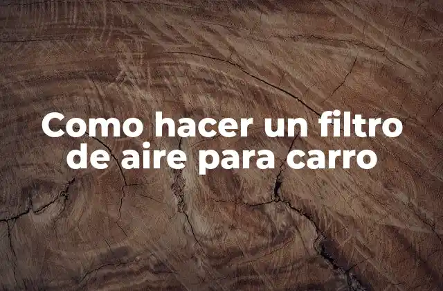 Como Hacer un Filtro de Aire para Carro