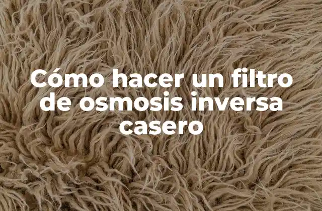 Cómo Hacer un Filtro de Osmosis Inversa Casero