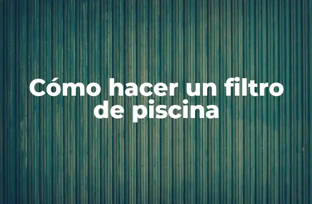 Cómo Hacer un Filtro de Piscina