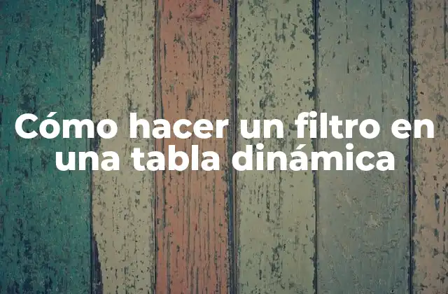 Cómo Hacer un Filtro en una Tabla Dinámica