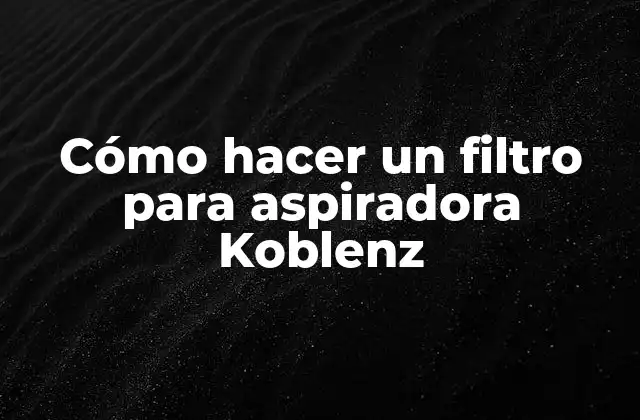 Cómo Hacer un Filtro para Aspiradora Koblenz
