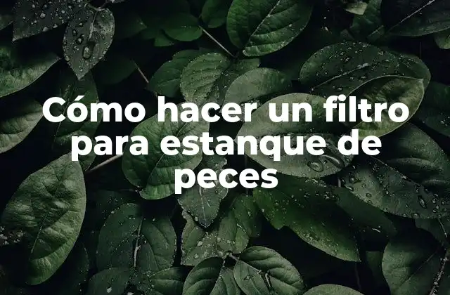 Cómo Hacer un Filtro para Estanque de Peces
