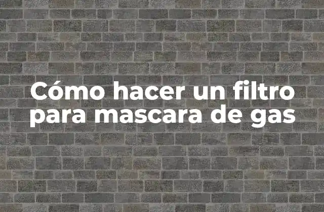 Cómo Hacer un Filtro para Mascara de Gas