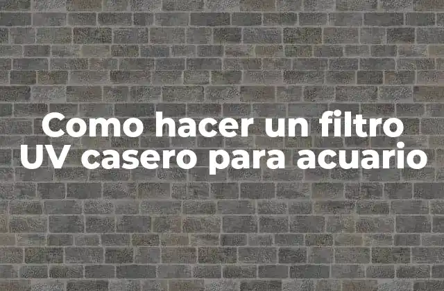 Como Hacer un Filtro Uv Casero para Acuario