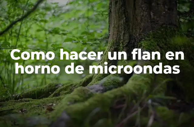 Como Hacer un Flan en Horno de Microondas