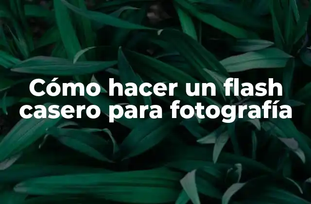 Cómo Hacer un Flash Casero para Fotografía