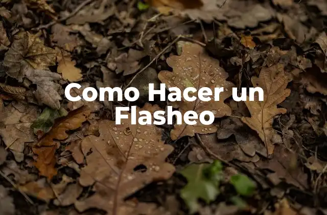 Como Hacer un Flasheo