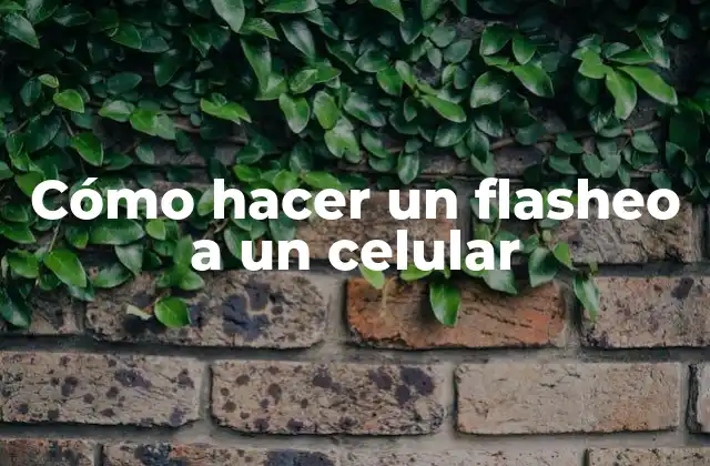 Cómo Hacer un Flasheo a un Celular