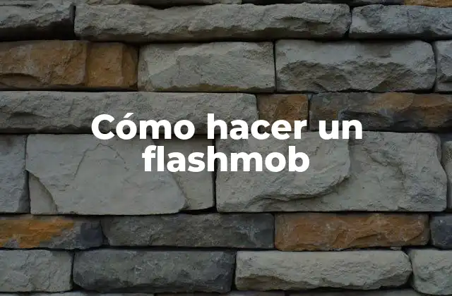 Cómo Hacer un Flashmob