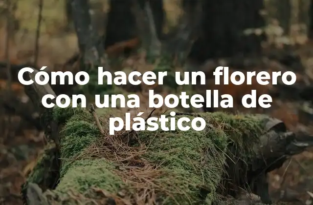 Cómo Hacer un Florero con una Botella de Plástico