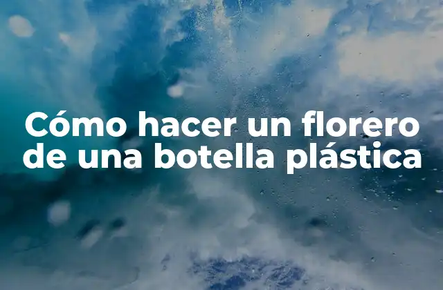 Cómo Hacer un Florero de una Botella Plástica