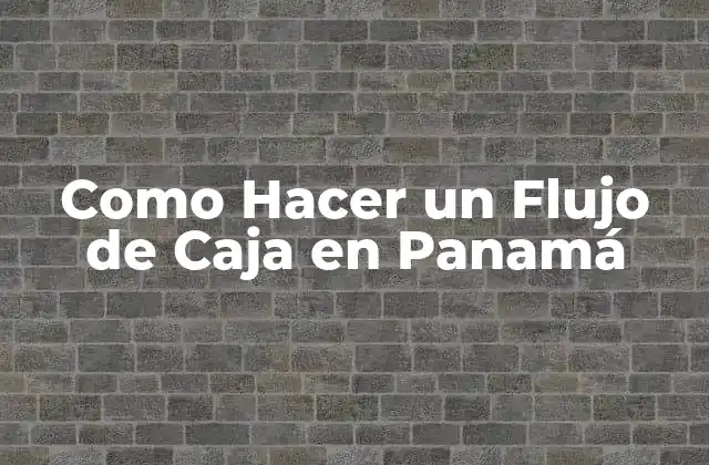 Como Hacer un Flujo de Caja en Panamá