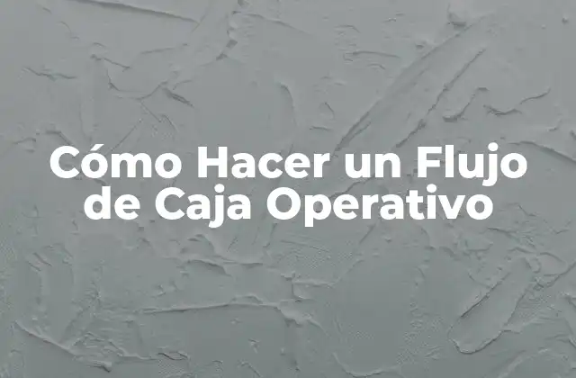Cómo Hacer un Flujo de Caja Operativo