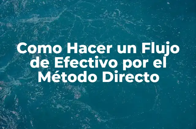 Como Hacer un Flujo de Efectivo por el Método Directo
