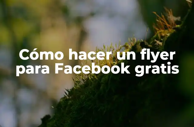 ¿Qué es un flyer para Facebook y por qué es importante?