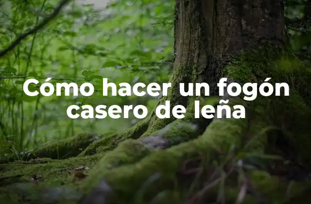 Cómo Hacer un Fogón Casero de Leña